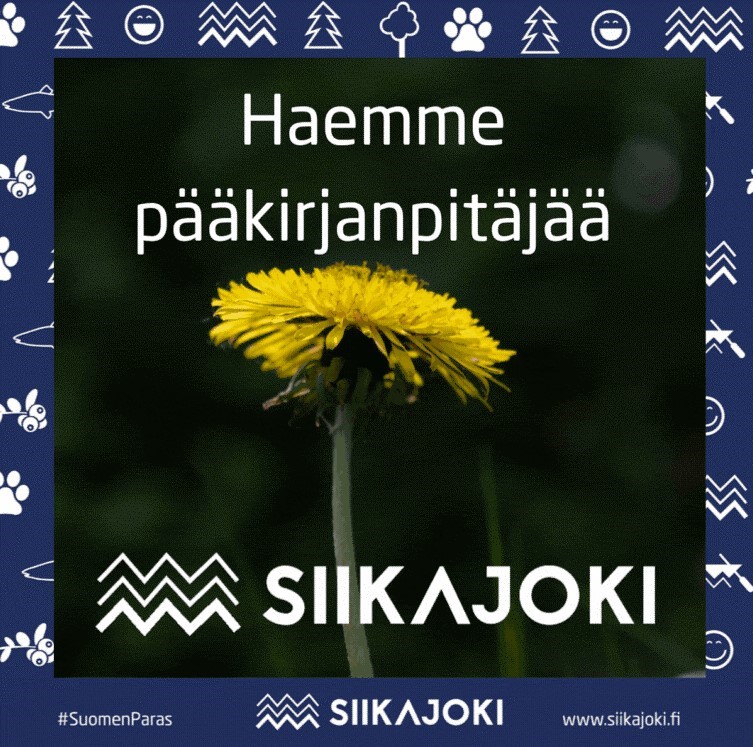 Voikukka