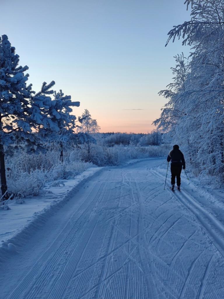 Ihminen hiihtää selin kameraan