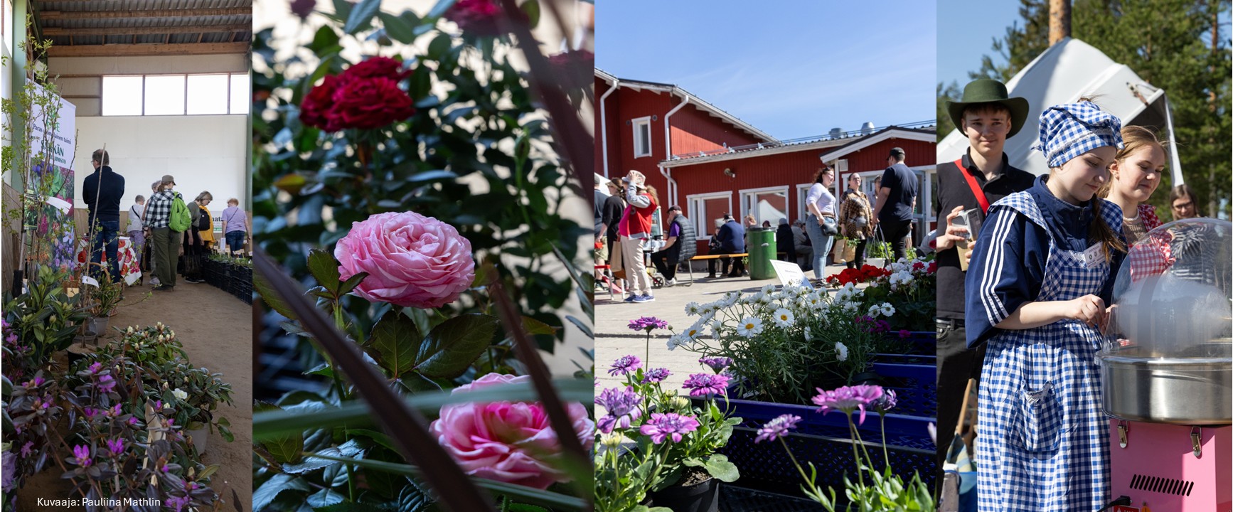 Kuvia puutarhamessuilta, paljon kukkia ja ihmisiä.