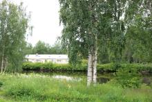 Kreivinsaari kuvattuna kesällä