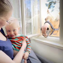 Lapsi äidin sylissä ja poni katsomassa ikkunasta.