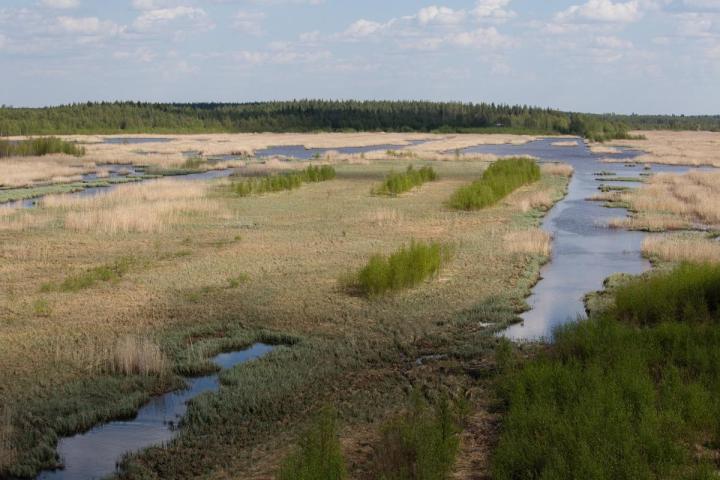 Suomen rannikkoreitit -luento